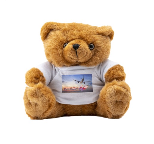 BigBrowny Bear cuddle toy