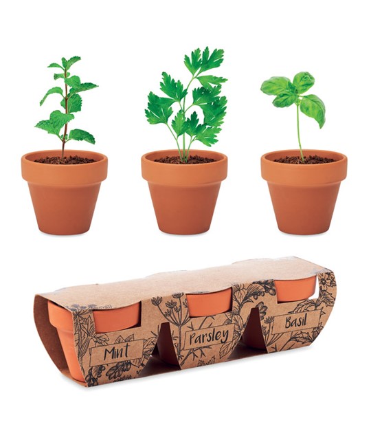 FLOWERPOT - Terracotta 3 herb pot set