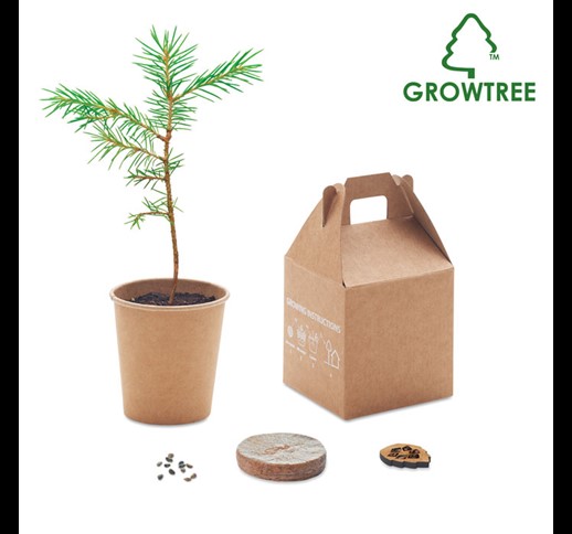 Growtree™ - Komplet za zasaditev borovca