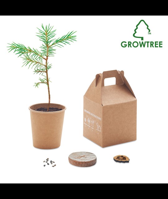 Growtree™ - Komplet za zasaditev borovca