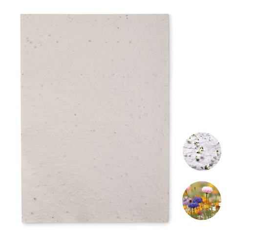 ASIDI - A4 wildflower seed paper sheet