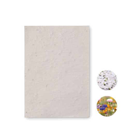 ASIDO - A6 wildflower seed paper sheet