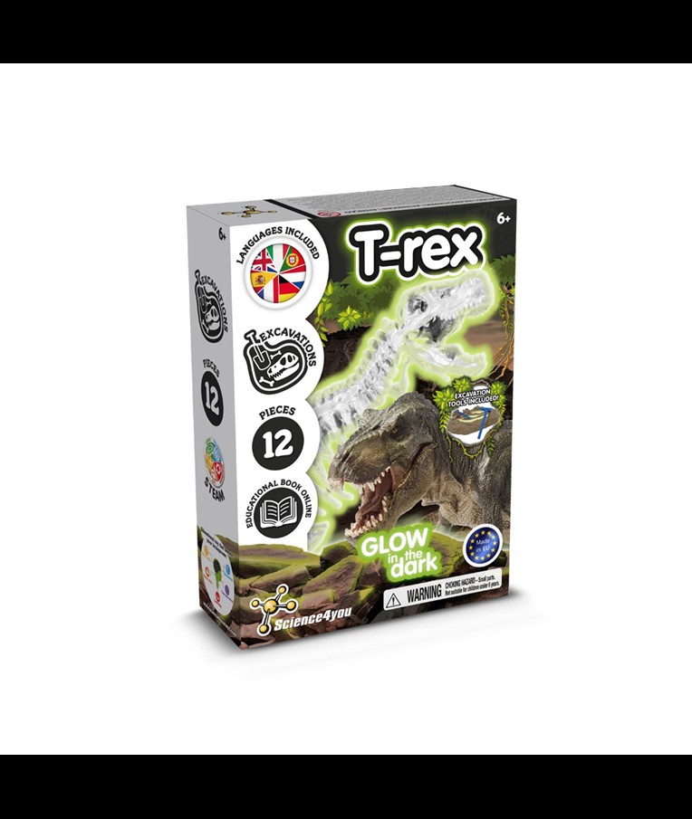 Fossil Excavation Kit I. Educational game for children