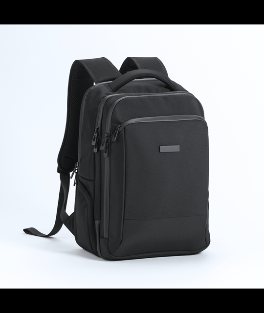 BIZZ PRO FOUR-COMPARTMENT BUSINESS BACKPACK