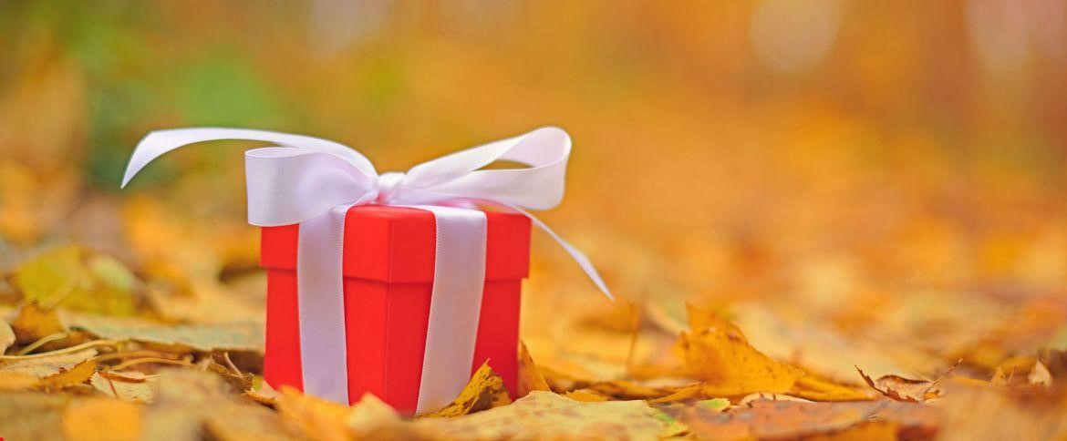 Podarite tradicijo – košarico slovenskih dobrot