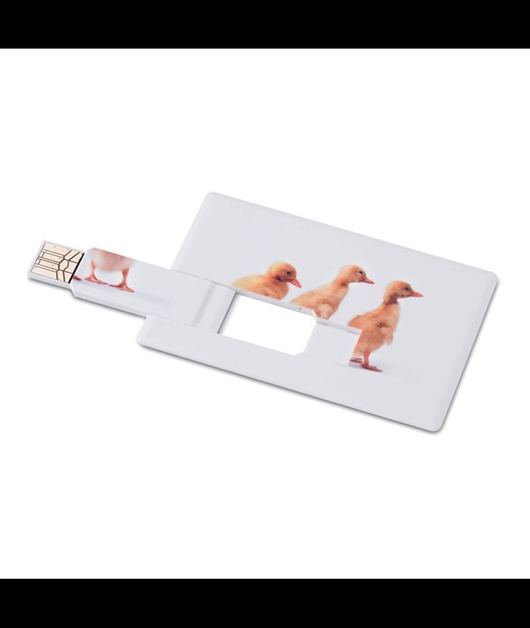 MEMORAMA - Creditcard. USB flash 4GB MO1059-06