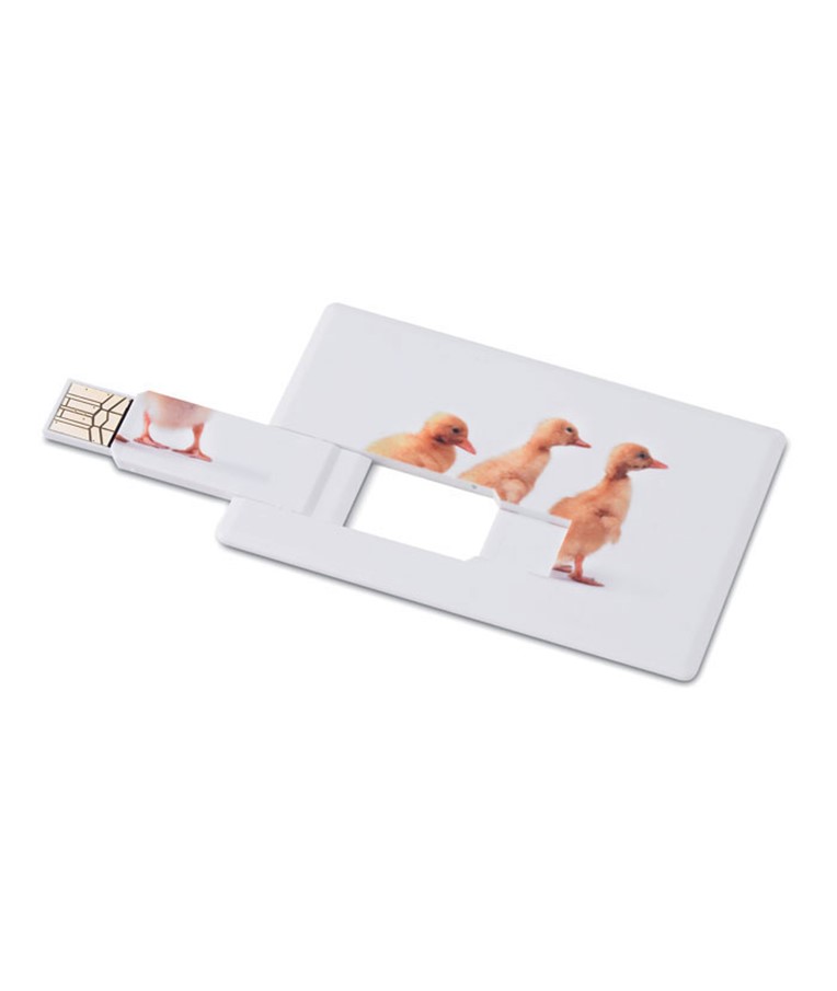MEMORAMA - Kreditna kartica. USB flash 4GB MO1059-06