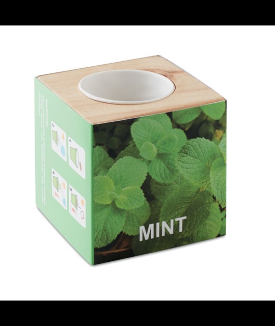 MENTA - Herb pot wood "MINT"