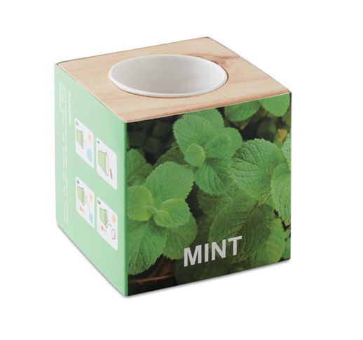 MENTA - Herb pot wood "MINT"