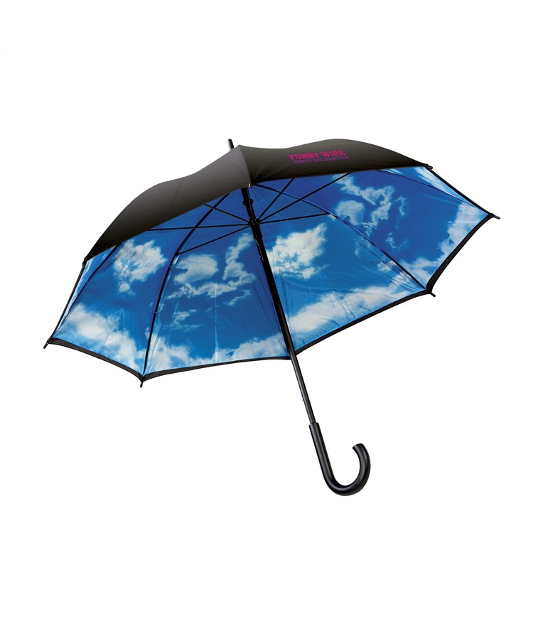 ImageCloudyDay umbrella