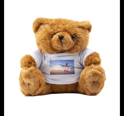 BigBrowny Bear cuddle toy