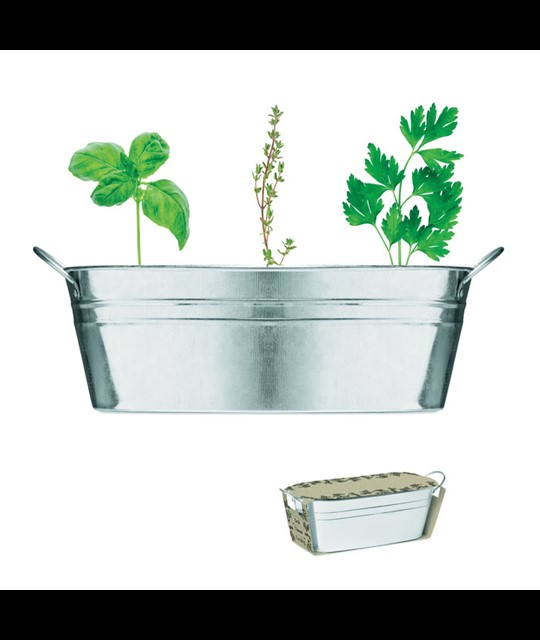 MIX SEEDS - Zinc tub with 3 herbs seeds