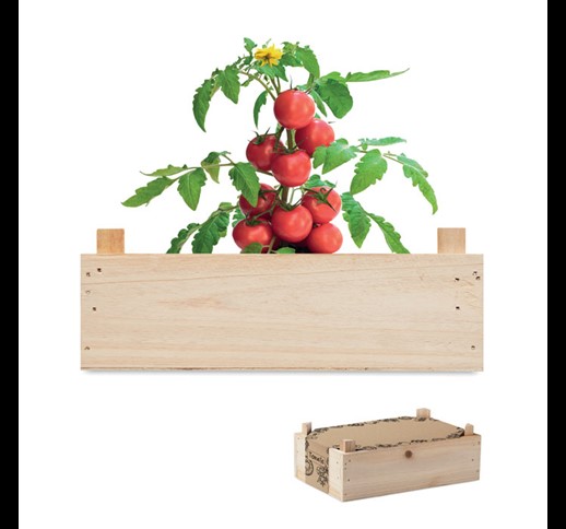 Tomato - Komplet za gojenje paradižnika v lesenem zabojčku