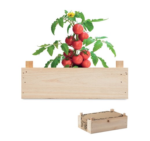 Tomato - Komplet za gojenje paradižnika v lesenem zabojčku