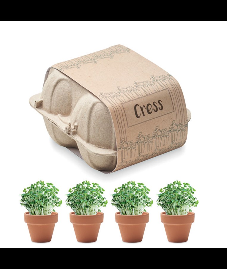 CRESS - Egg carton growing kit