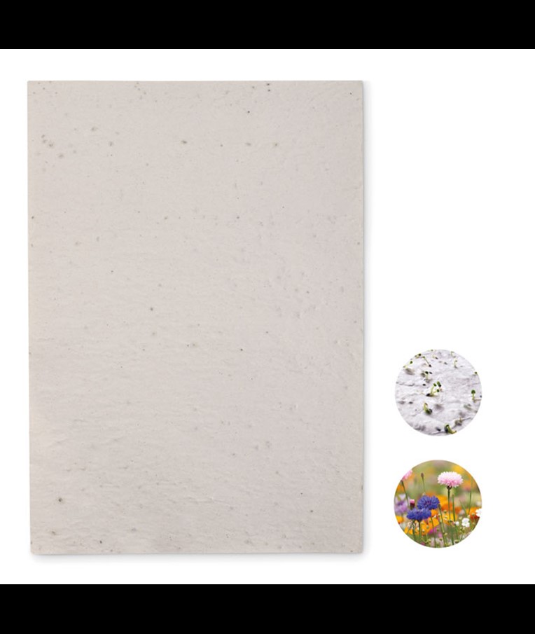 ASIDI - A4 wildflower seed paper sheet