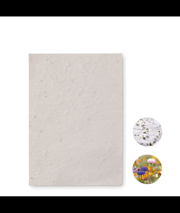 ASIDO - A6 wildflower seed paper sheet