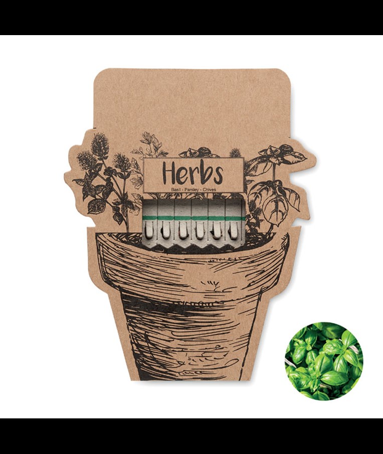 LEYTI - Herb seeds sticks