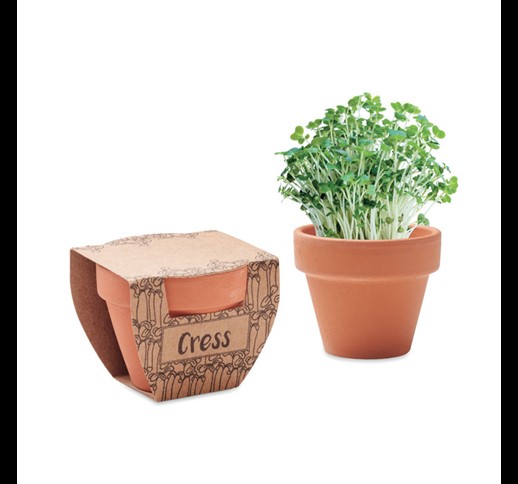 CRESS POT - Terracotta pot cress seeds