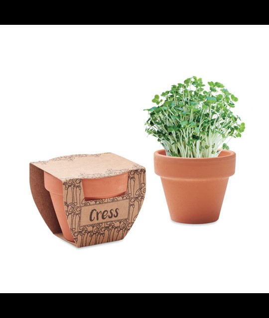 CRESS POT - Terracotta pot cress seeds