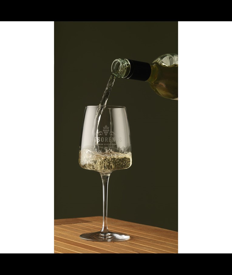 Caselli Wine Glass 370 ml