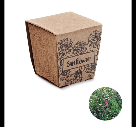SUNFLOWER KIT - Sunflower growing kit