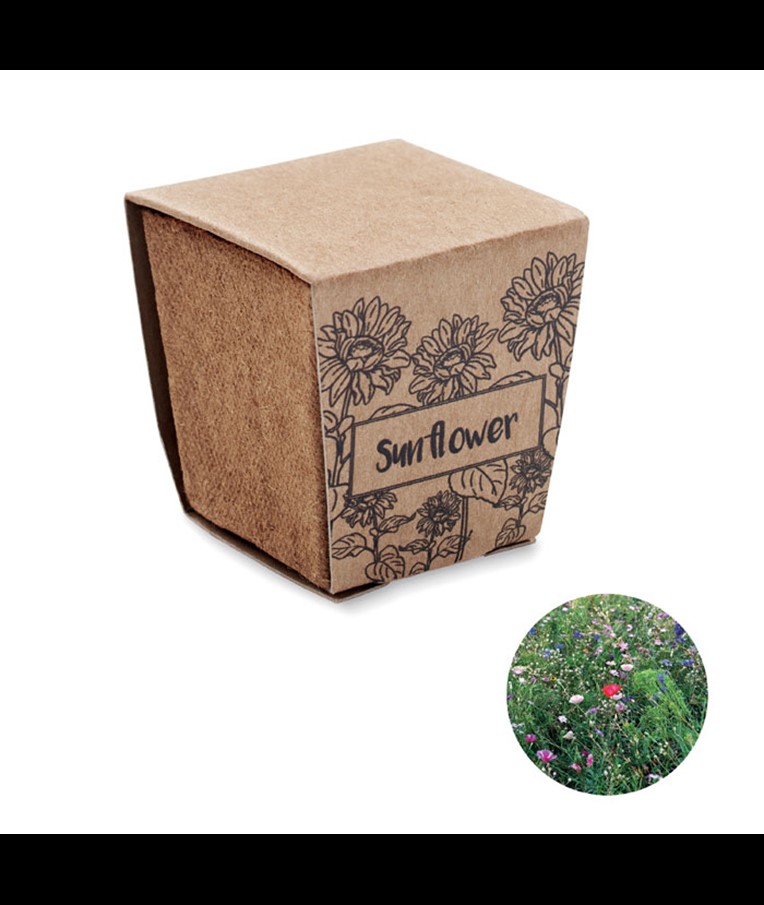SUNFLOWER KIT - Sunflower growing kit