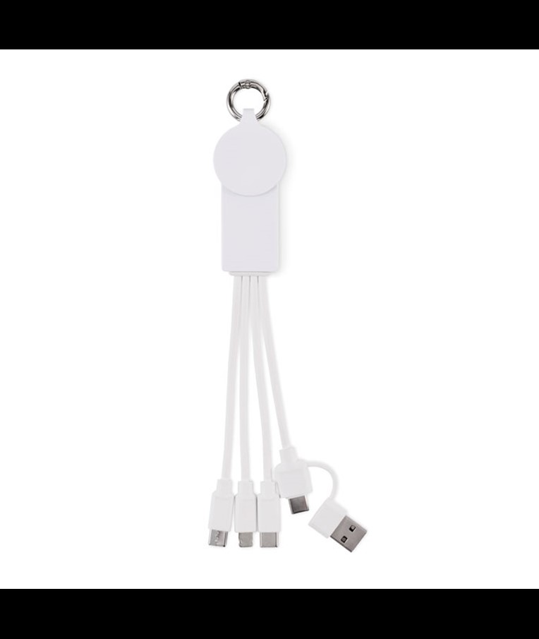 ICAB - 2 in 1 charging cable type-C