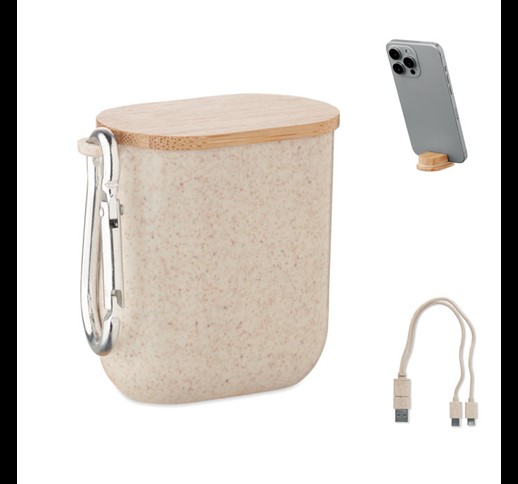 CABSTRA - Komplet kablov v ohišju