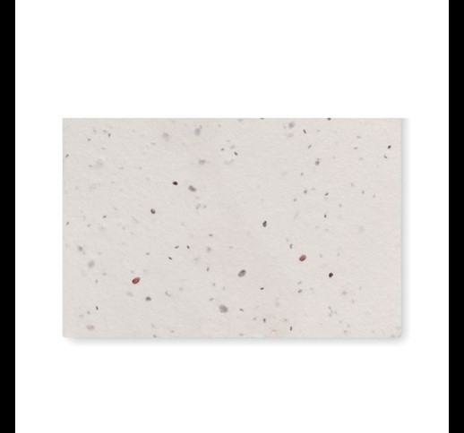 ASIDA - Wildflower seed business card.