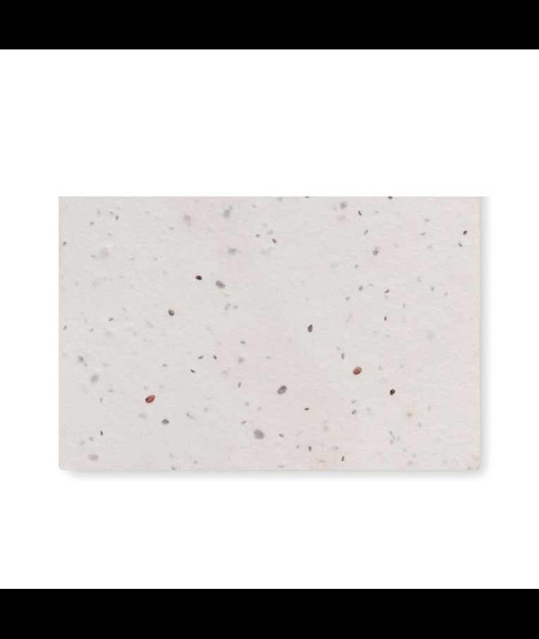 ASIDA - Vizitka za semena divjih rož.