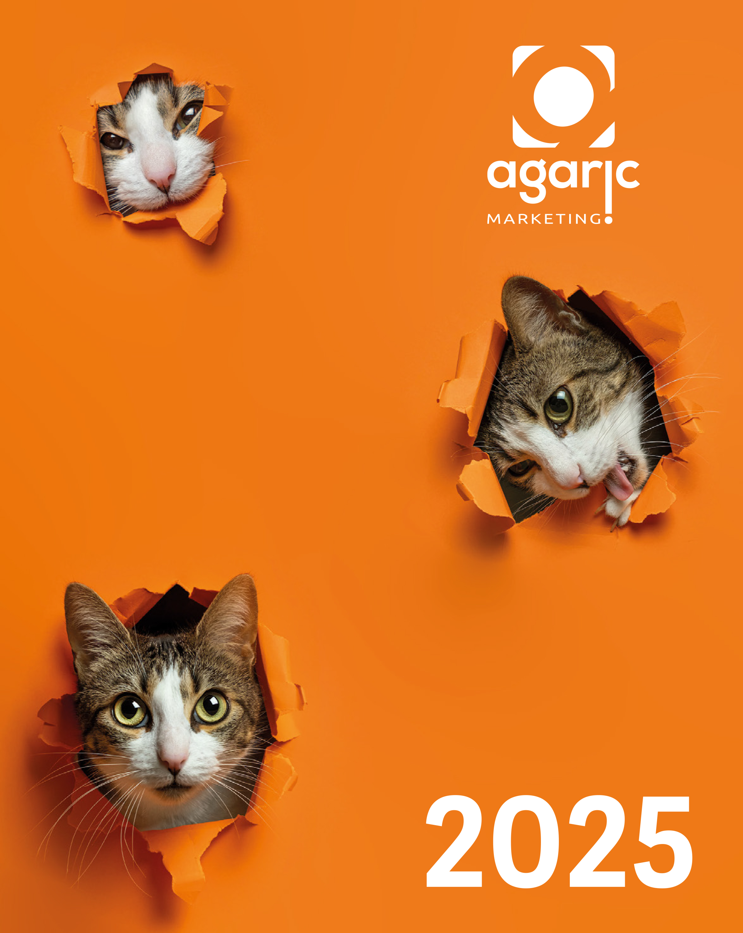 Promocijska darila Hiidea